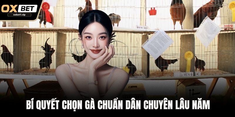 Bí quyết chọn gà chuẩn dân chuyên lâu năm