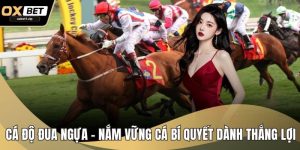 Cá Độ Đua Ngựa – Nắm Vững Các Bí Quyết Dành Thắng Lợi Lớn