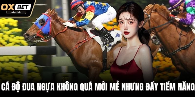Cá độ đua ngựa không quá mới mẻ nhưng đầy tiềm năng