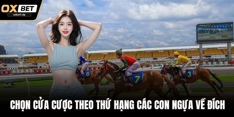 Chọn cửa cược theo thứ hạng các con ngựa về đích