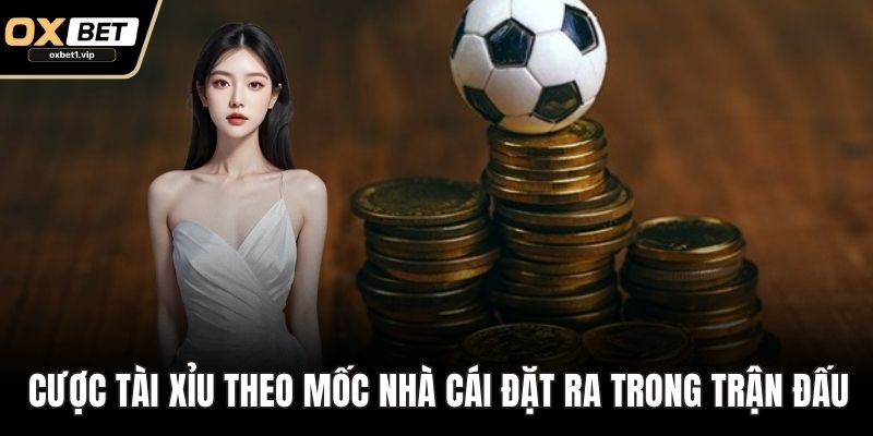 Cá Cược Bóng Đá – Phân Loại Kèo Và Chiến Lược Nâng Cao Cược tài xỉu theo mốc nhà cái đặt ra trong từng trận đấu