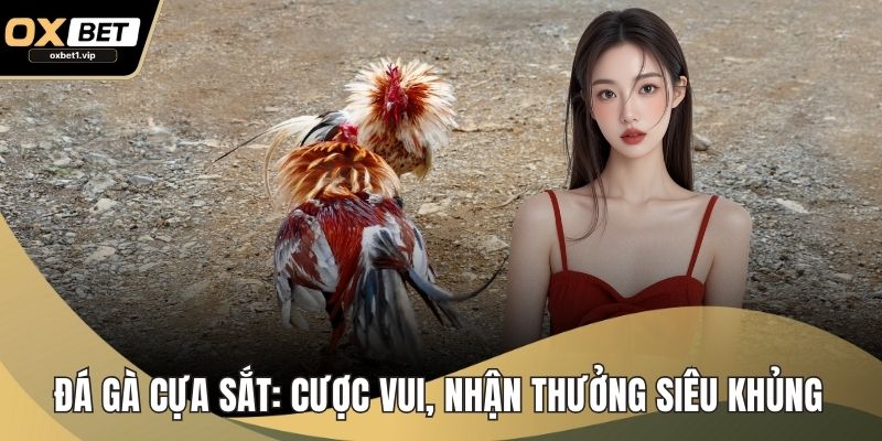 Đá Gà Cựa Sắt: Cược Vui, Nhận Thưởng Siêu Khủng Tại OXBET