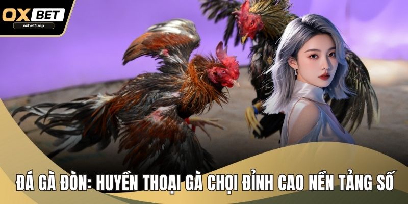 Đá Gà Đòn: Huyền Thoại Gà Chọi Đỉnh Cao Trên Nền Tảng Số