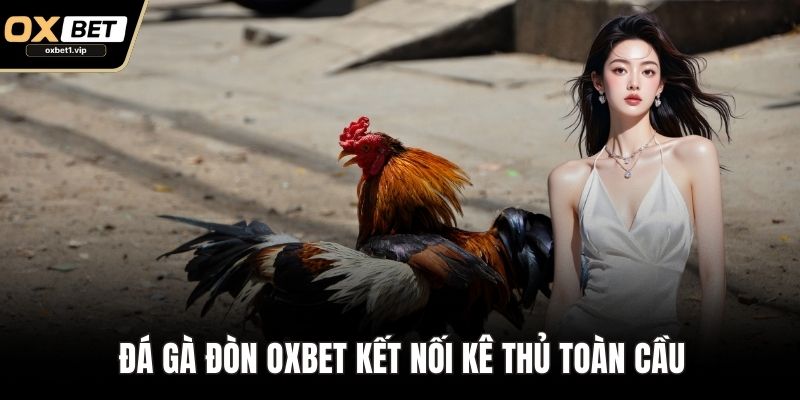 Đá Gà Đòn: Huyền Thoại Gà Chọi Đỉnh Cao Trên Nền Tảng Số Đá gà đòn OXBET kết nối kê thủ toàn cầu