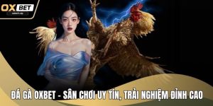 Đá Gà OXBET - Sân Chơi Uy Tín, Trải Nghiệm Đỉnh Cao