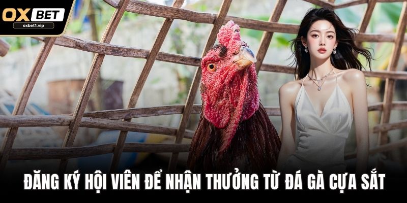 Đăng ký hội viên để nhận thưởng từ Đá gà cựa sắt