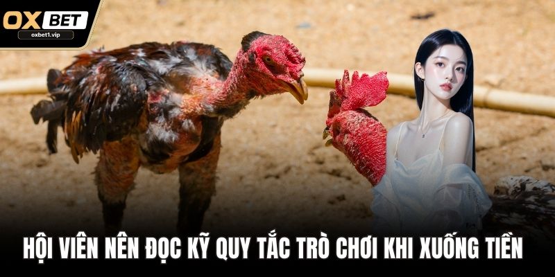 Hội viên nên đọc kỹ quy tắc trò chơi trước khi xuống tiền  
