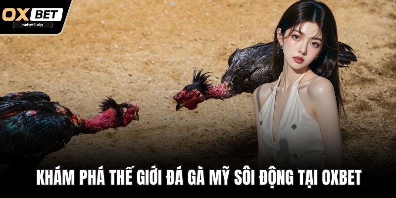 Khám phá thế giới Đá gà Mỹ sôi động tại OXBET