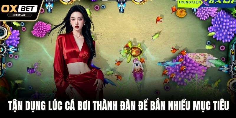 Bắn Cá Tiên – Thủy Cung Huyền Ảo, Phần Thưởng Bùng Nổ Tận dụng lúc cá bơi thành đàn để bắn được nhiều mục tiêu