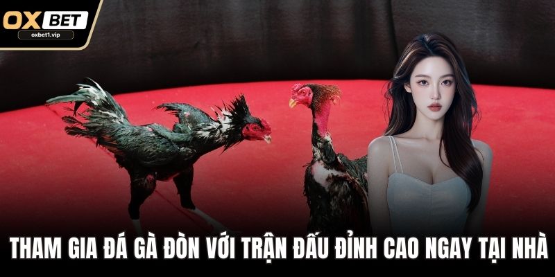 Đá Gà Đòn: Huyền Thoại Gà Chọi Đỉnh Cao Trên Nền Tảng Số Tham gia Đá gà đòn với trận đấu đỉnh cao ngay tại nhà