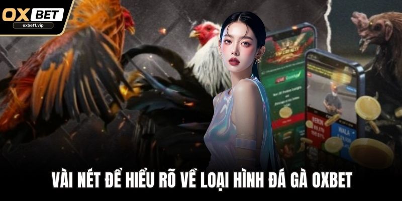 Đá Gà OXBET - Sân Chơi Uy Tín, Trải Nghiệm Đỉnh Cao Vài nét để hiểu rõ về loại hình đá gà OXBET